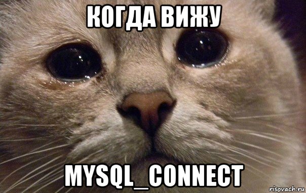 когда вижу mysql_connect, Мем   В мире грустит один котик