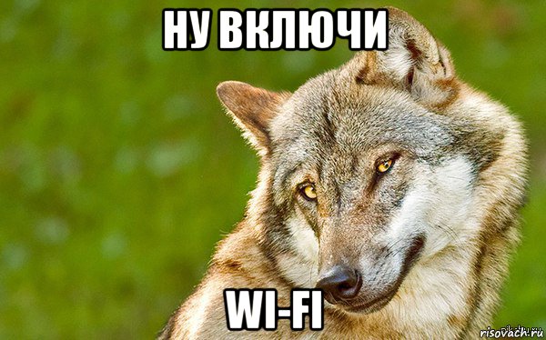 ну включи wi-fi, Мем   Volf