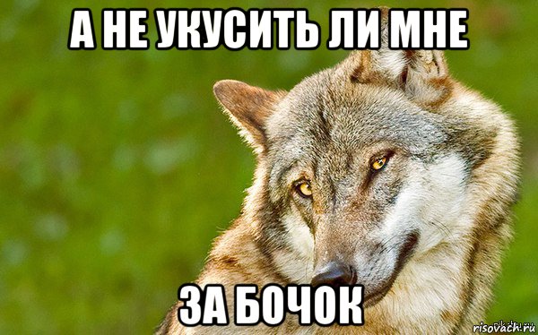 а не укусить ли мне за бочок, Мем   Volf