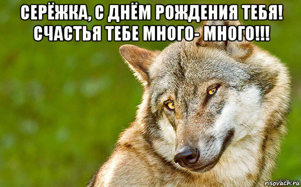 серёжка, с днём рождения тебя! счастья тебе много- много!!! , Мем   Volf