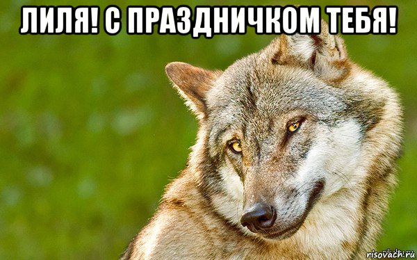 лиля! с праздничком тебя! , Мем   Volf