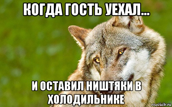 когда гость уехал... и оставил ништяки в холодильнике, Мем   Volf