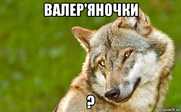 валер'яночки ?, Мем   Volf