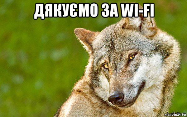 дякуємо за wi-fi 