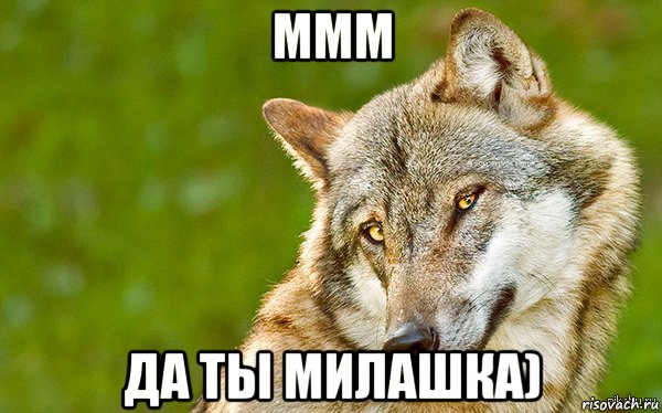 ммм да ты милашка), Мем   Volf