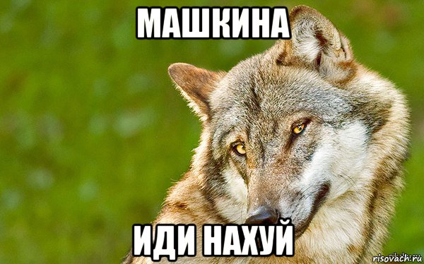 машкина иди нахуй, Мем   Volf