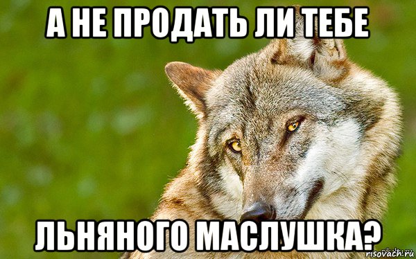 а не продать ли тебе льняного маслушка?, Мем   Volf