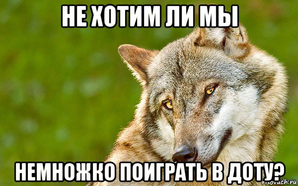 не хотим ли мы немножко поиграть в доту?, Мем   Volf