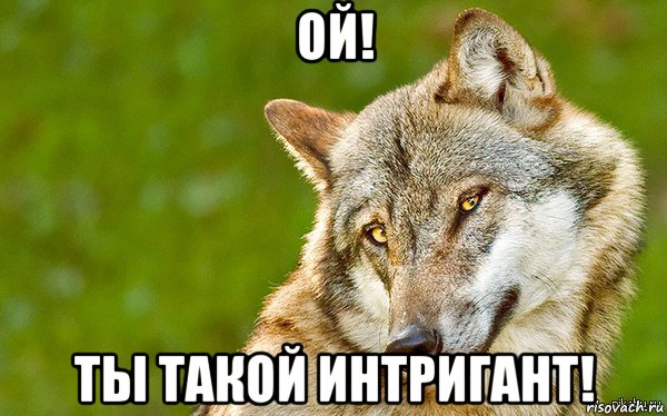 ой! ты такой интригант!, Мем   Volf