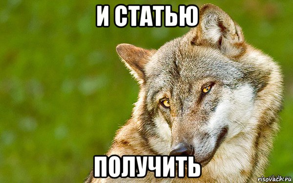 и статью получить, Мем   Volf