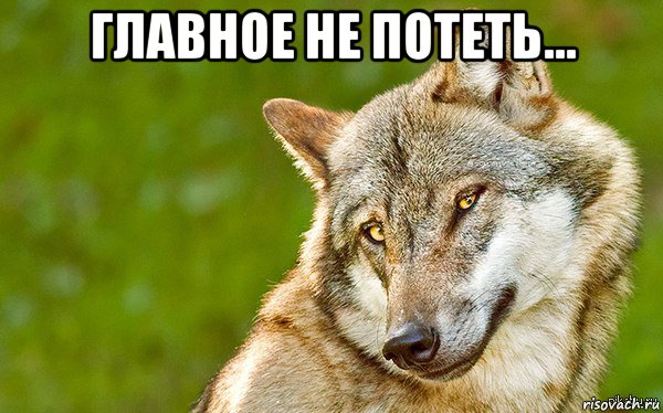 главное не потеть... , Мем   Volf