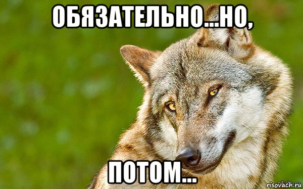 обязательно...но, потом..., Мем   Volf