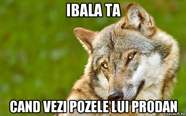 ibala ta cand vezi pozele lui prodan, Мем   Volf