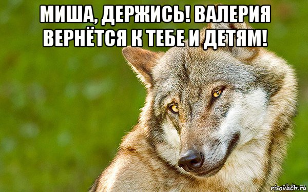 миша, держись! валерия вернётся к тебе и детям! , Мем   Volf