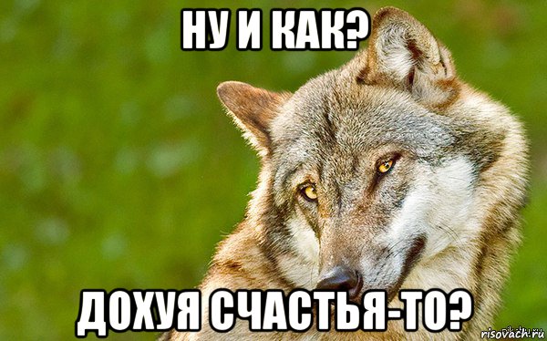 ну и как? дохуя счастья-то?, Мем   Volf