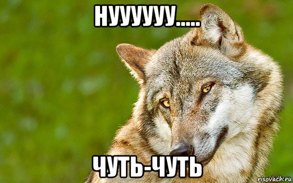 нуууууу..... чуть-чуть, Мем   Volf