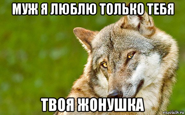 муж я люблю только тебя твоя жонушка, Мем   Volf