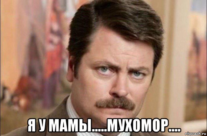  я у мамы.....мухомор...., Мем  Я человек простой