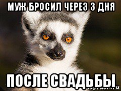 муж бросил через 3 дня после свадьбы, Мем Я збагоен