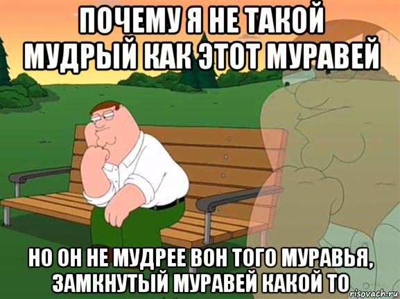 почему я не такой мудрый как этот муравей но он не мудрее вон того муравья, замкнутый муравей какой то, Мем Задумчивый Гриффин