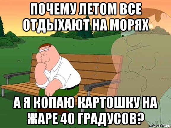 почему летом все отдыхают на морях а я копаю картошку на жаре 40 градусов?