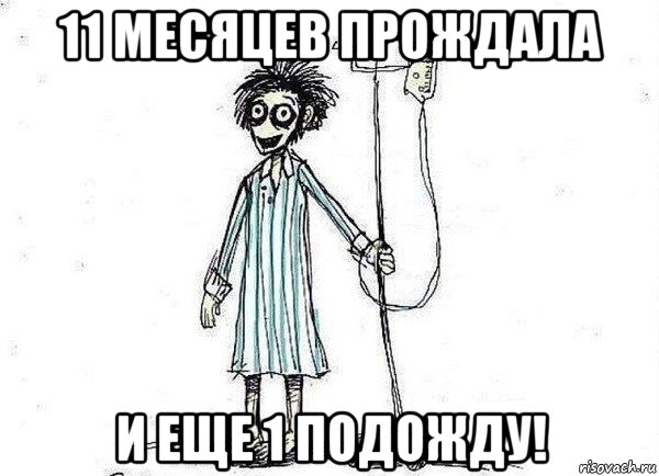 11 месяцев прождала и еще 1 подожду!, Мем  зато я сдал