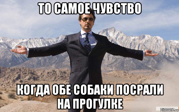 то самое чувство когда обе собаки посрали на прогулке, Мем железный человек