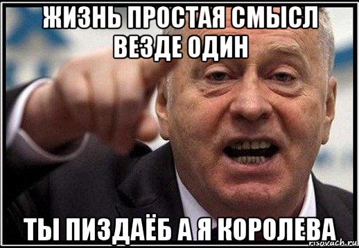 жизнь простая смысл везде один ты пиздаёб а я королева, Мем жириновский ты