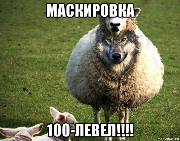 маскировка 100-левел!!!!, Мем Злая Овца