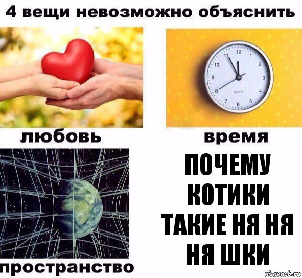 Почему котики такие ня ня ня шки, Комикс  4 вещи невозможно объяснить