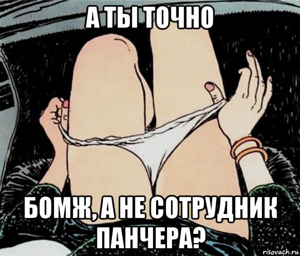 а ты точно бомж, а не сотрудник панчера?, Мем А ты точно