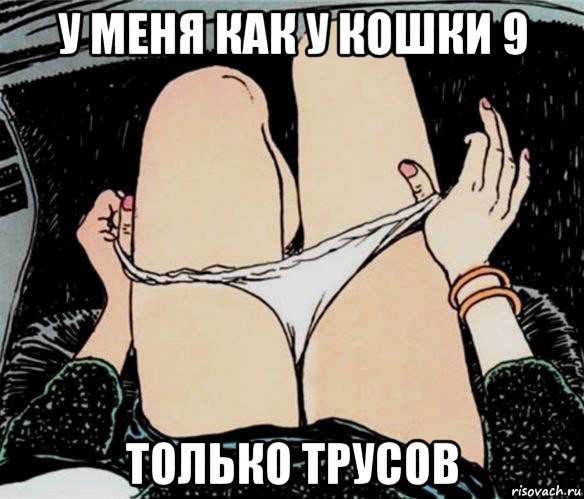 у меня как у кошки 9 только трусов, Мем А ты точно