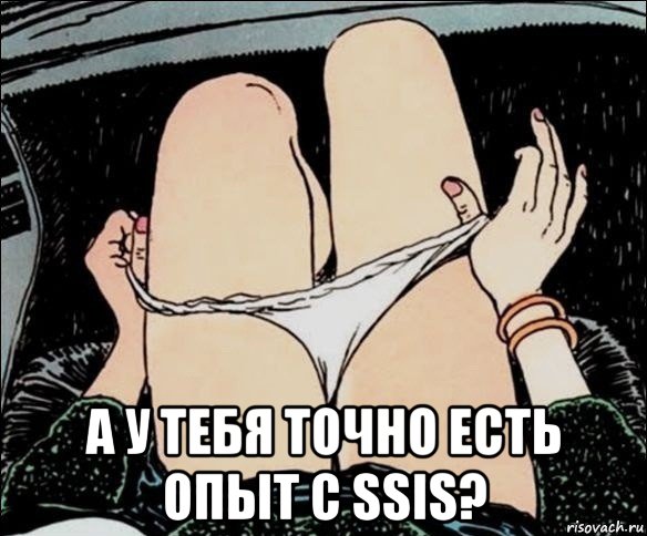  а у тебя точно есть опыт с ssis?