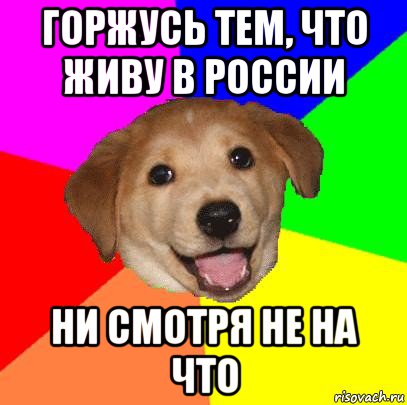 горжусь тем, что живу в россии ни смотря не на что, Мем Advice Dog