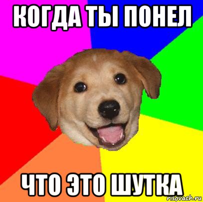 когда ты понел что это шутка, Мем Advice Dog