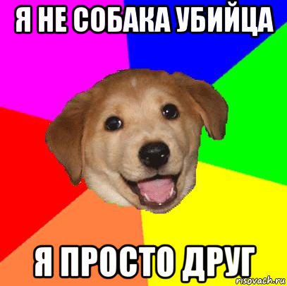 я не собака убийца я просто друг, Мем Advice Dog