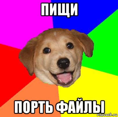 пищи порть файлы, Мем Advice Dog