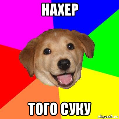 нахер того суку, Мем Advice Dog