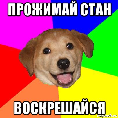 прожимай стан воскрешайся, Мем Advice Dog