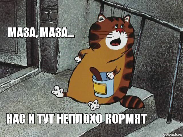 Маза, маза... Нас и тут неплохо кормят