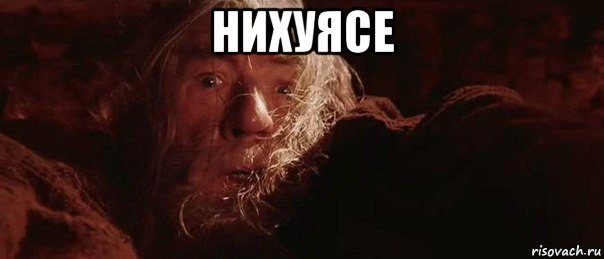 нихуясе , Мем бегите глупцы