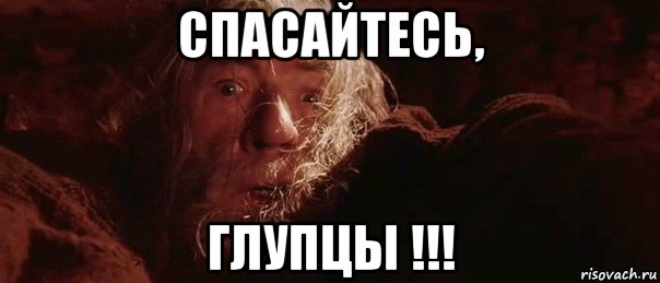 спасайтесь, глупцы !!!, Мем бегите глупцы