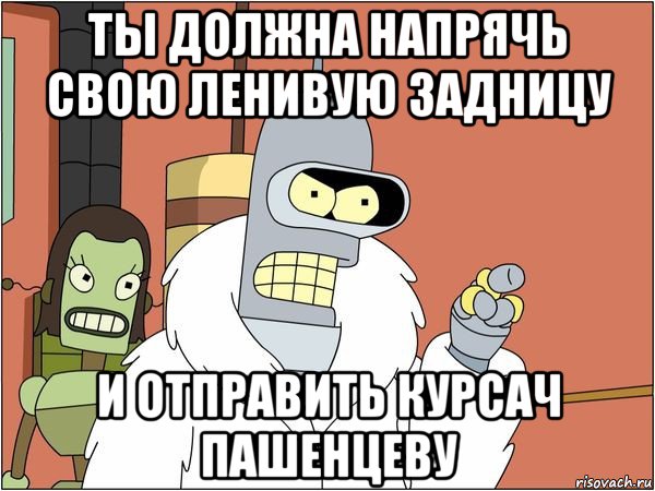 ты должна напрячь свою ленивую задницу и отправить курсач пашенцеву, Мем Бендер