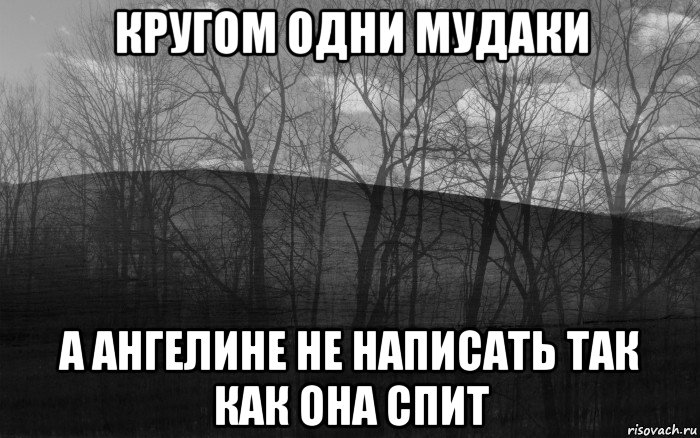 кругом одни мудаки а ангелине не написать так как она спит, Мем безысходность лес