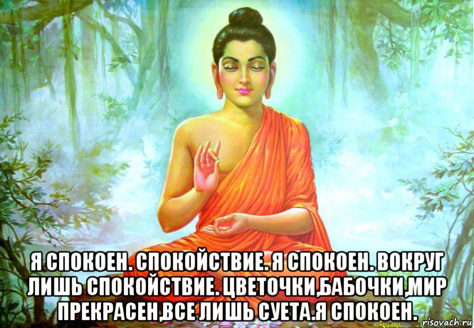  я спокоен. спокойствие. я спокоен. вокруг лишь спокойствие. цветочки,бабочки,мир прекрасен,все лишь суета.я спокоен., Мем будда