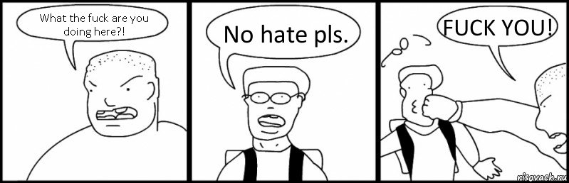 What the fuck are you doing here?! No hate pls. FUCK YOU!