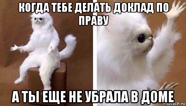 когда тебе делать доклад по праву а ты еще не убрала в доме