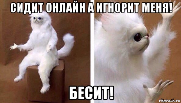 сидит онлайн а игнорит меня! бесит!, Мем Чучело кота