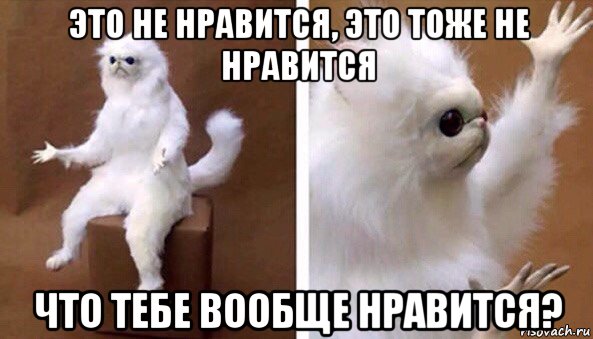 это не нравится, это тоже не нравится что тебе вообще нравится?, Мем Чучело кота