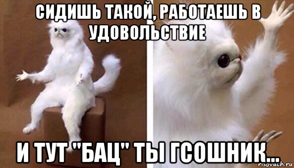 сидишь такой, работаешь в удовольствие и тут "бац" ты гсошник..., Мем Чучело кота